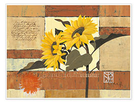 Veggbilde  Rhapsody of Sunflowers - Franz Heigl