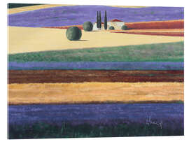 Acrylglas print Provencal landscape