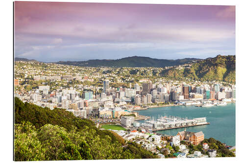 Gallery Print Wellington am Morgen, Neuseeland