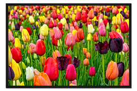 Gerahmter Kunstdruck Frühlingstulpen