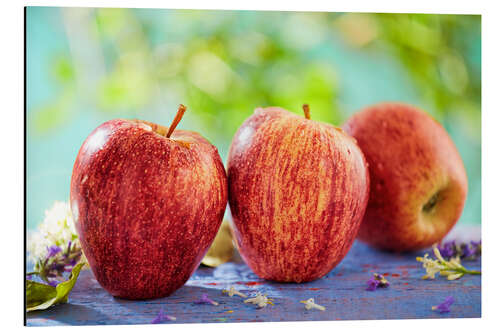 Quadro em alumínio Three Apples