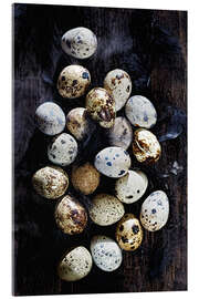 Acrylic print Quail eggs on Ebony