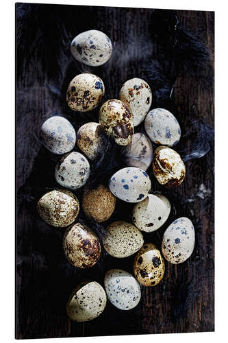 Tableau en aluminium Quail eggs on Ebony