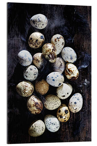 Galleritryk Quail eggs on Ebony