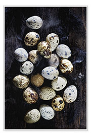 Poster  Quail eggs on Ebony - K&amp;L Food Style