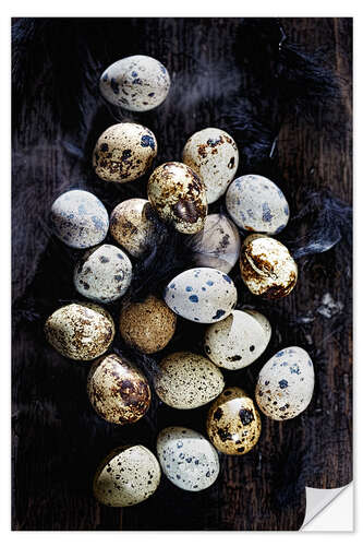 Naklejka na ścianę Quail eggs on Ebony