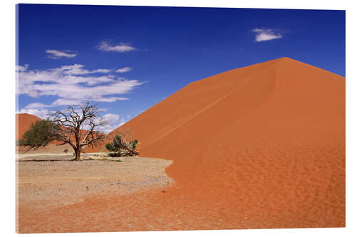 Acrylic print Dunes of the Namib, Namibia