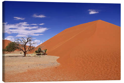 Leinwandbild Die Dünen der Namib, Namibia