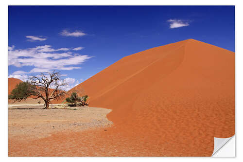 Naklejka na ścianę Dunes of the Namib, Namibia