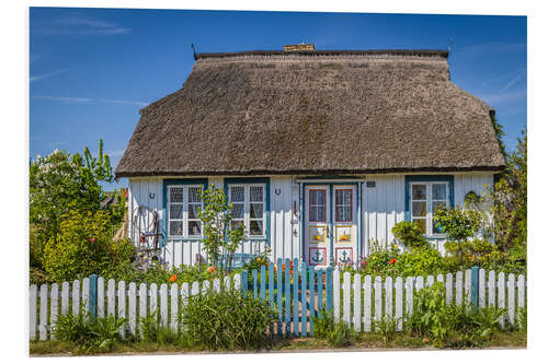 Quadro em PVC Thatched cottage on the Baltic Sea