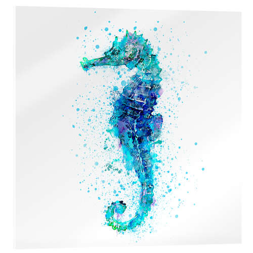 Acrylglasbild Seepferdchen