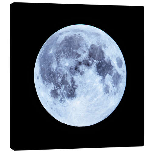 Stampa su tela Blue Full Moon