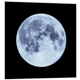 PVC-tavla Blue Full Moon