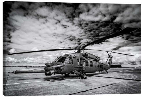 Canvas print Blackhawk