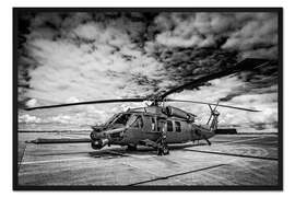 Gerahmter Kunstdruck Pave Hawk