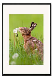 Gerahmter Kunstdruck Knutsch die Pusteblume