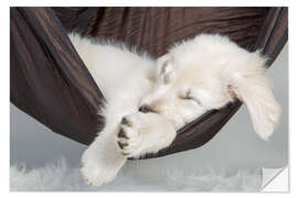 Wall sticker Sweet dreams golden retriever