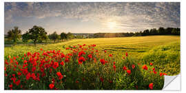 Wall sticker Poppy Field