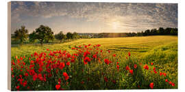 Wood print Poppy Field