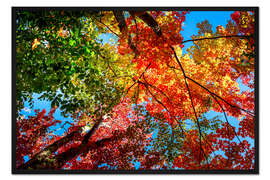 Gerahmter Kunstdruck Herbstfarben II