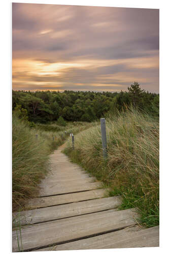 Foam board print Dune ridge on the North Sea