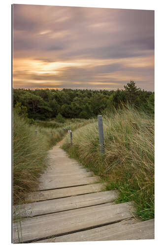 Gallery print Dune ridge on the North Sea