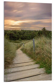 Galleritryck Dune ridge on the North Sea