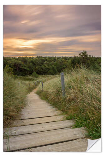 Sisustustarra Dune ridge on the North Sea