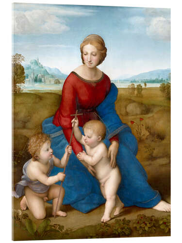 Quadro em acrílico Madonna in the meadow 