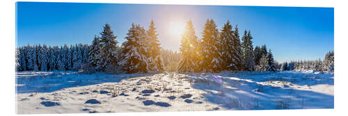 Acrylglasbild Winter landscape panorama