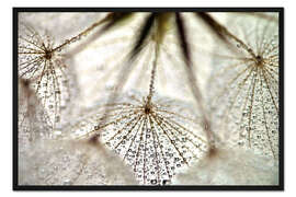 Gerahmter Kunstdruck Pusteblume spirit