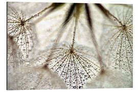 Magnettafel Pusteblume spirit