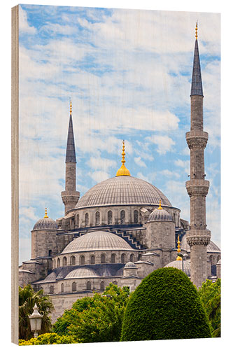 Wood print Blue Mosque Istanbul