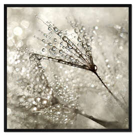 Gerahmter Kunstdruck Pusteblume   Diamonds