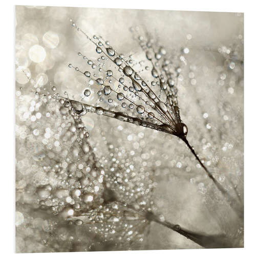 Quadro em PVC Pusteblume   Diamonds