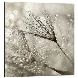 Magnettafel Pusteblume   Diamonds