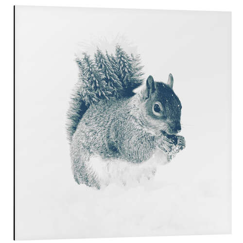 Aluminium print Squirrel