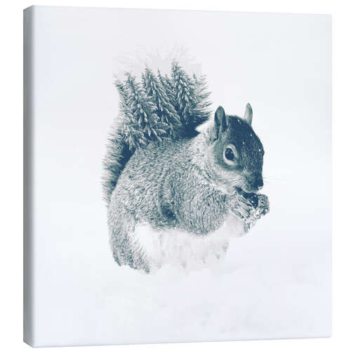 Canvas print Squirrel