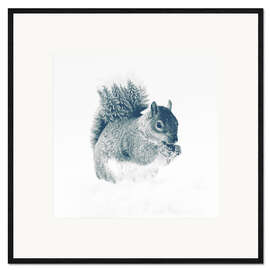 Innrammet kunsttrykk Squirrel