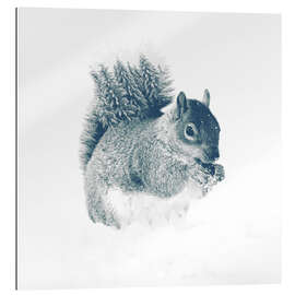 Gallery print Squirrel