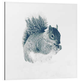 Magnettafel Squirrel