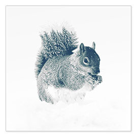 Wandbild  Squirrel - Peg Essert