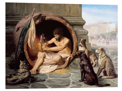 Bilde på skumplate Diogenes