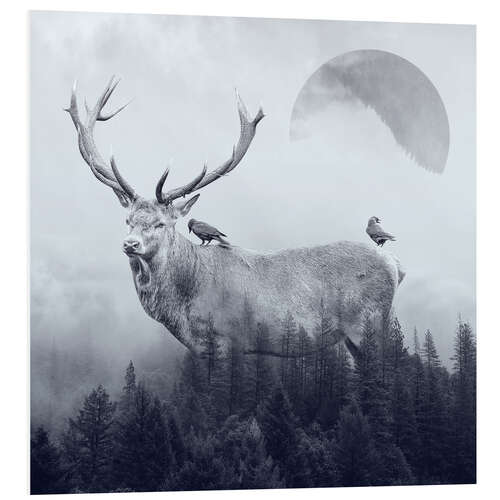 Foam board print Deer Autumn