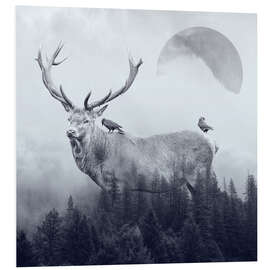 Foam board print Deer Autumn