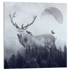 Gallery print Deer Autumn