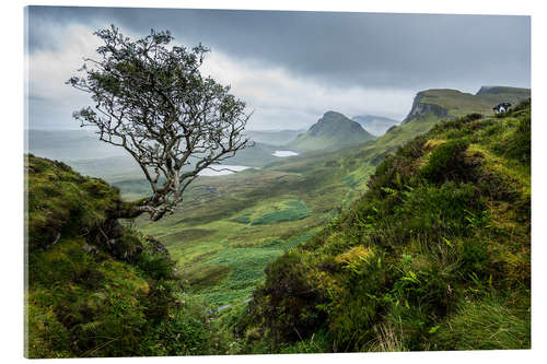 Acrylglas print The Quiraing, Isle of Skye, Scotland II