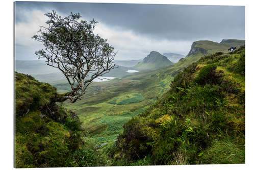 Cuadro de plexi-alu Quiraing, isla de Skye, Escocia II