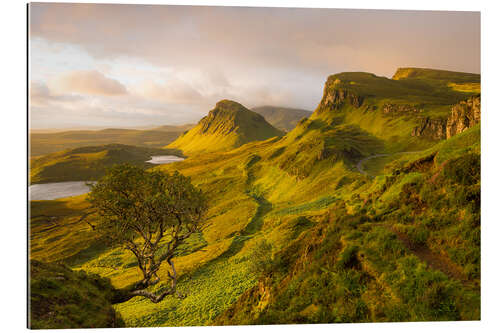 Gallery print The Quiraing, Isle of Skye, Scotland IV