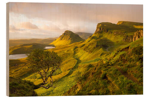 Trätavla The Quiraing, Isle of Skye, Scotland IV